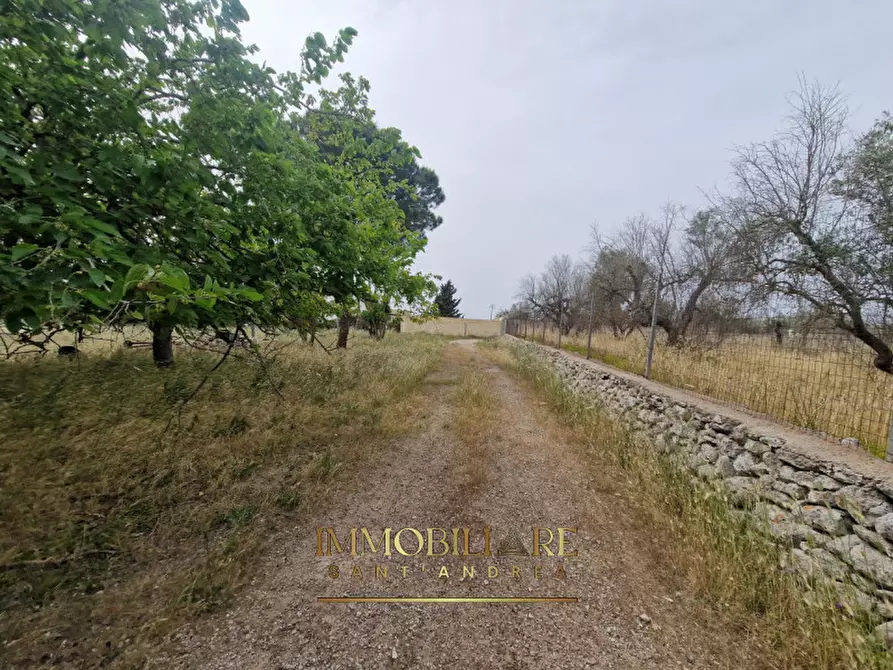 Immagine 24 di Casa indipendente in vendita  in lizzanello-merine a Lizzanello