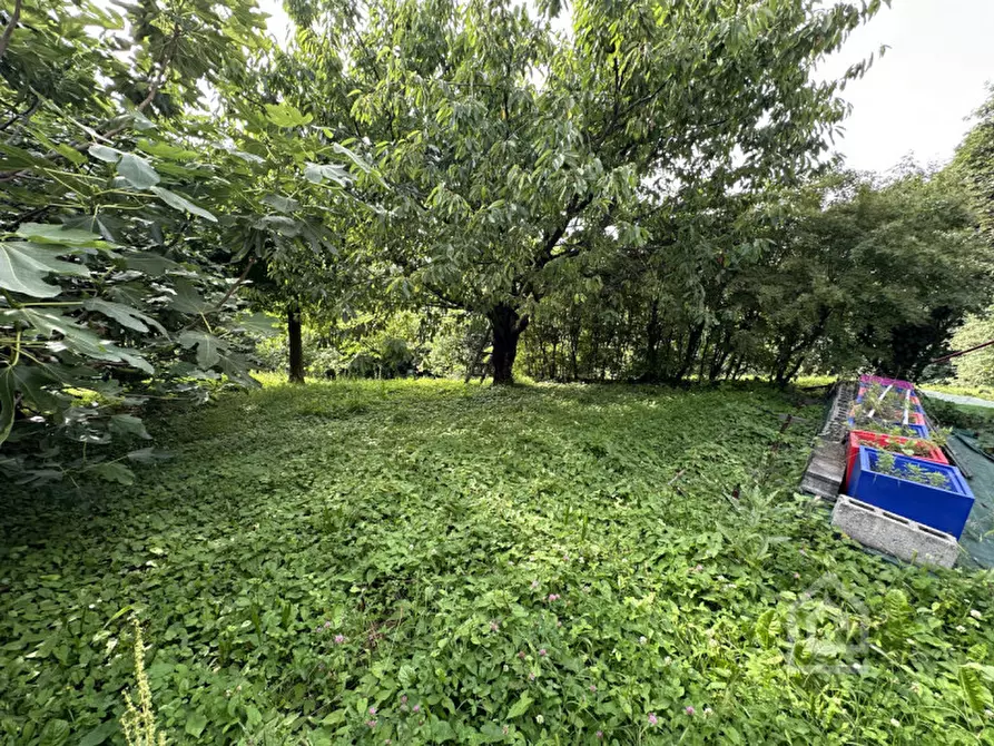 Immagine 26 di Appartamento in vendita  in Strada Chivasso 2 a Castagneto Po