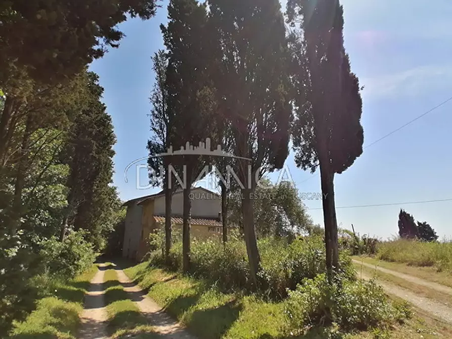 Immagine 4 di Casa indipendente in vendita  a Santa Maria A Monte
