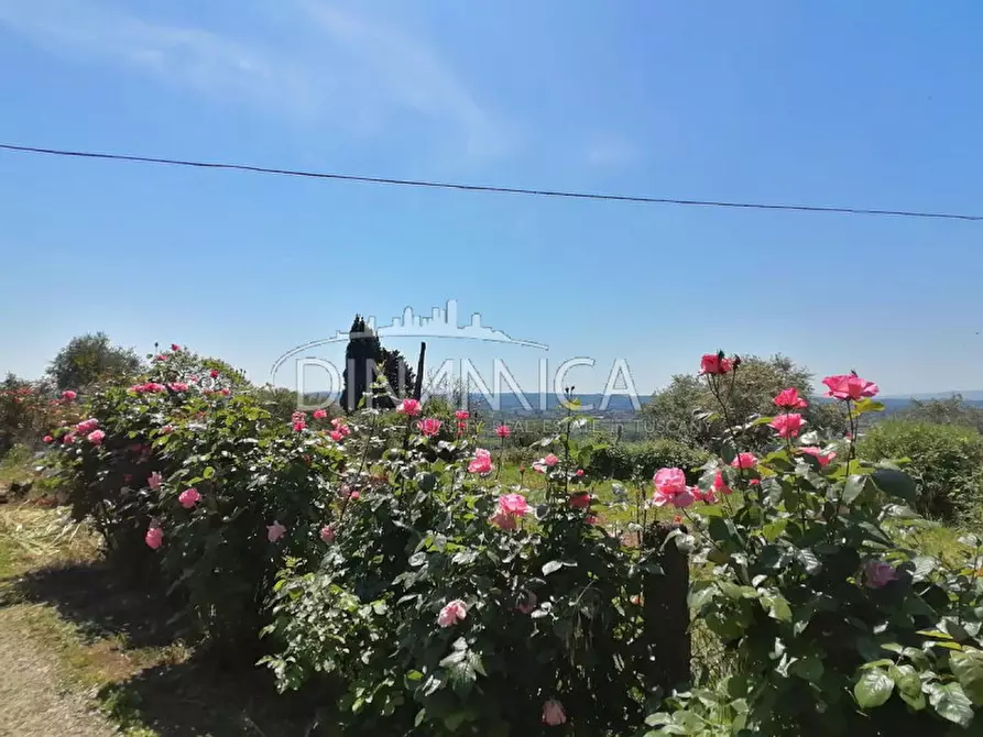 Immagine 8 di Casa indipendente in vendita  a Santa Maria A Monte