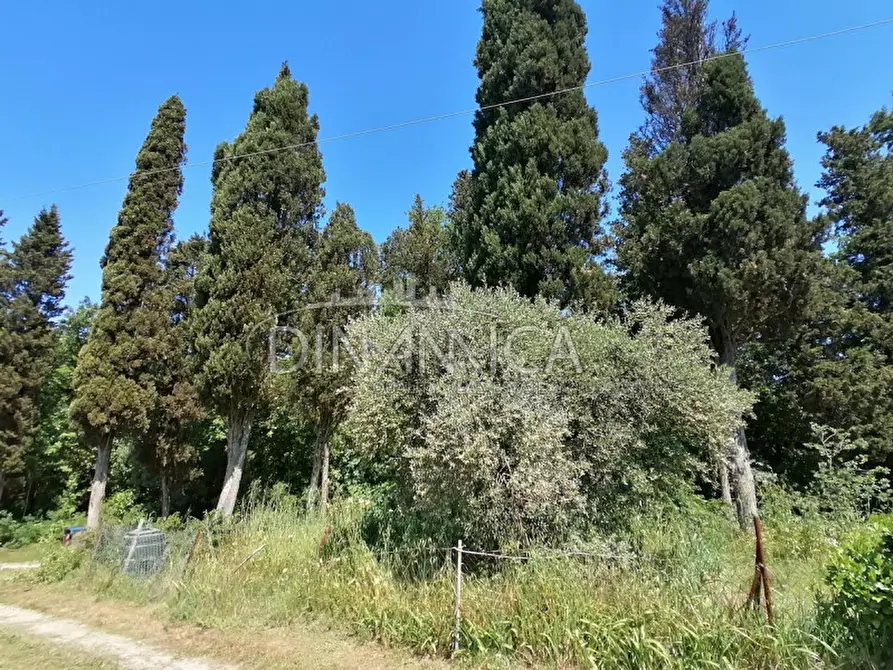 Immagine 9 di Casa indipendente in vendita  a Santa Maria A Monte