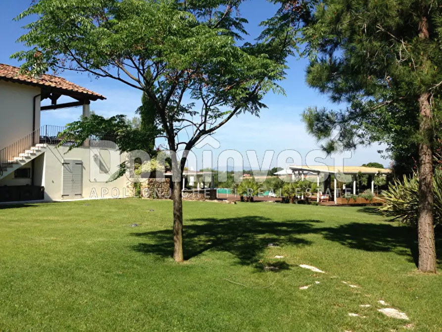 Immagine 9 di Villa in affitto  in Strada Cacciata Grande a Capalbio