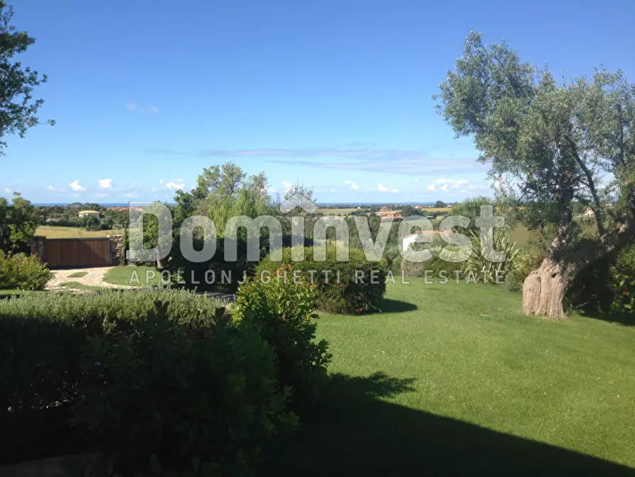 Immagine 13 di Villa in affitto  in Strada Cacciata Grande a Capalbio