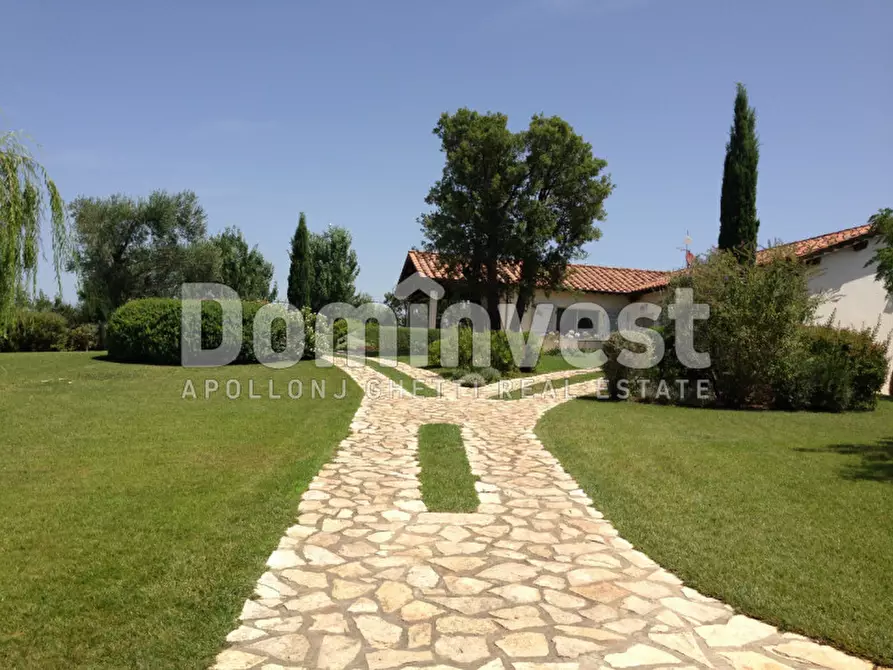 Immagine 14 di Villa in affitto  in Strada Cacciata Grande a Capalbio