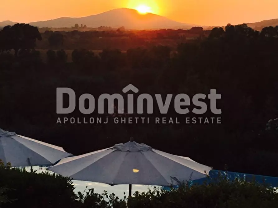 Immagine 50 di Villa in affitto  in Strada Cacciata Grande a Capalbio