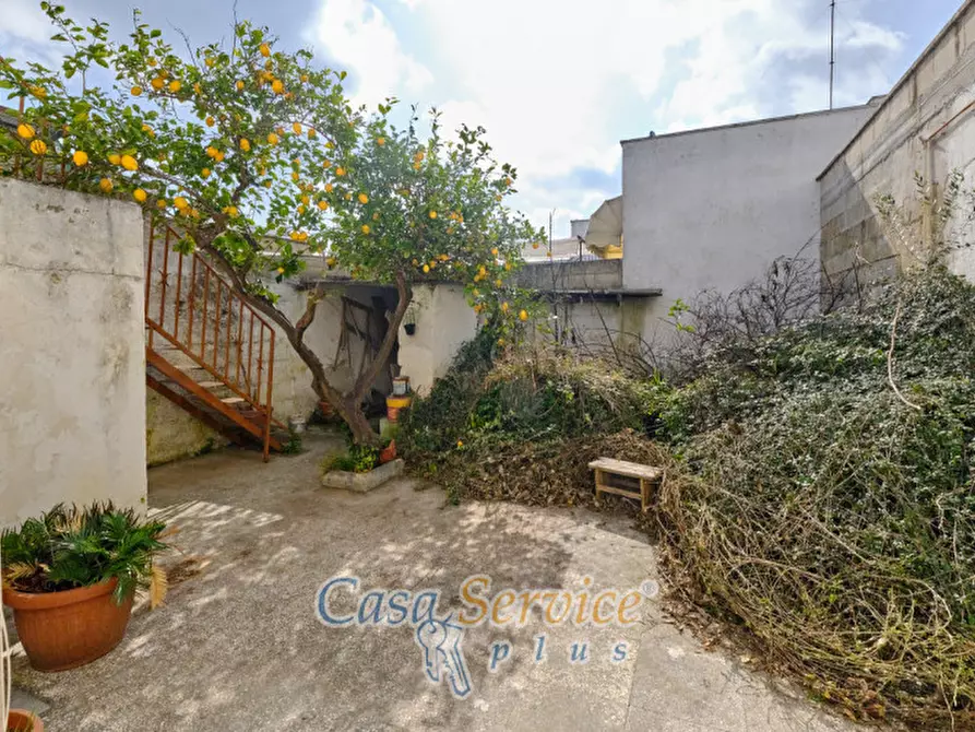 Immagine 4 di Casa indipendente in vendita  a Taviano