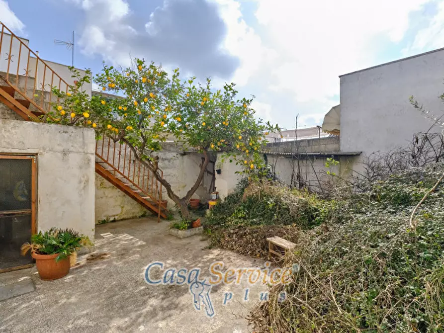 Immagine 5 di Casa indipendente in vendita  a Taviano