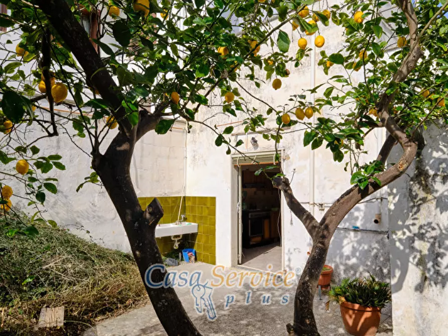 Immagine 8 di Casa indipendente in vendita  a Taviano