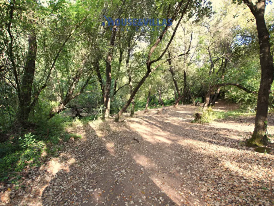 Immagine 13 di Rustico / casale in vendita  in sp 80 noto - palazzolo a Noto