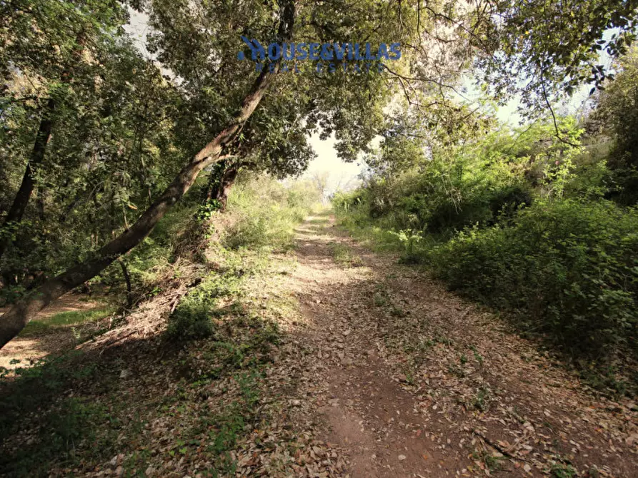 Immagine 19 di Rustico / casale in vendita  in sp 80 noto - palazzolo a Noto