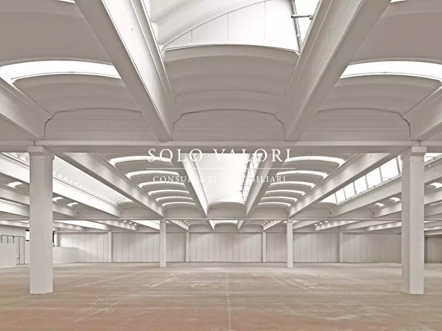 Immagine 2 di Terreno in vendita  a Rossano Veneto