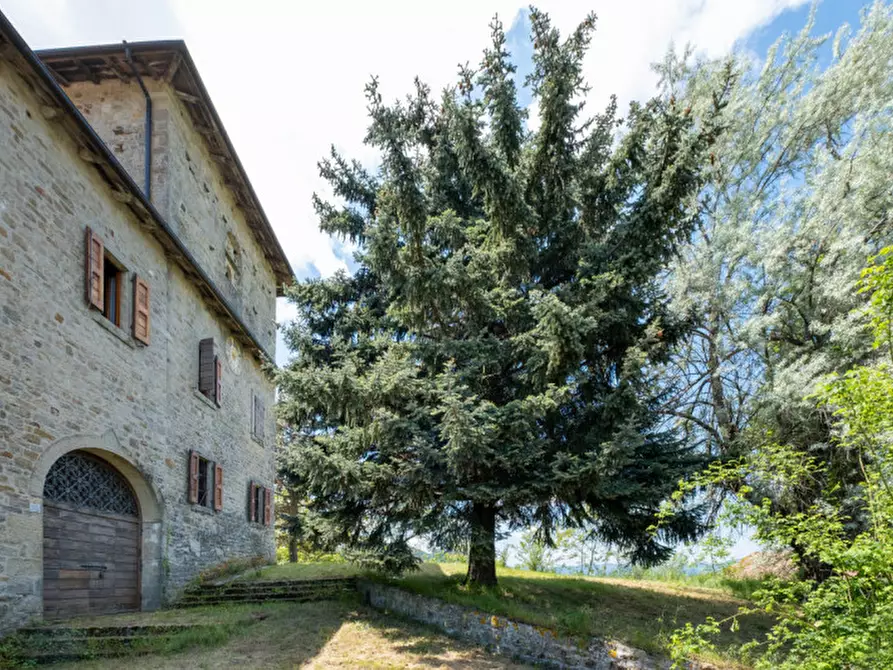 Immagine 43 di Villa in vendita  in Località Collina a Grizzana Morandi