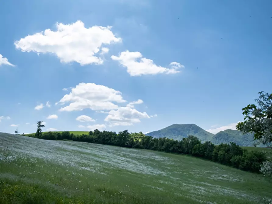 Immagine 45 di Villa in vendita  in Località Collina a Grizzana Morandi
