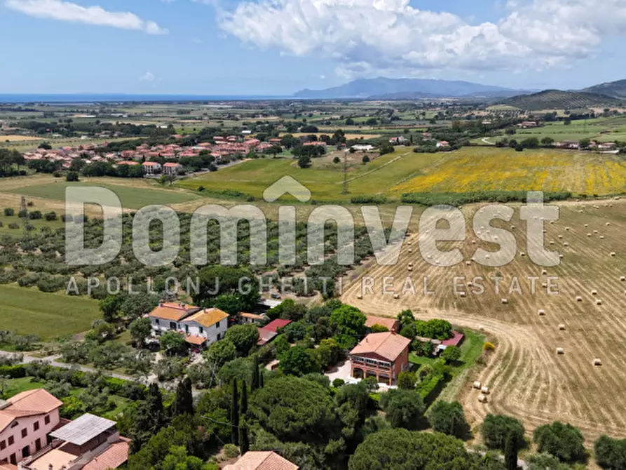 Immagine 4 di Rustico / casale in vendita  in Carige alta a Capalbio