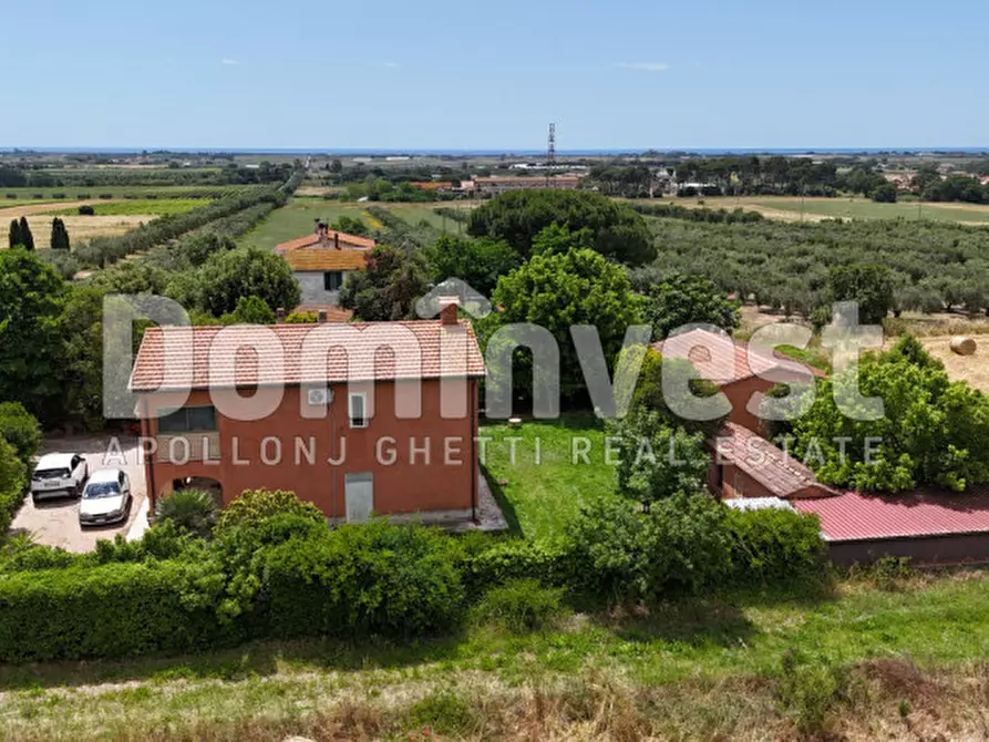 Immagine 6 di Rustico / casale in vendita  in Carige alta a Capalbio