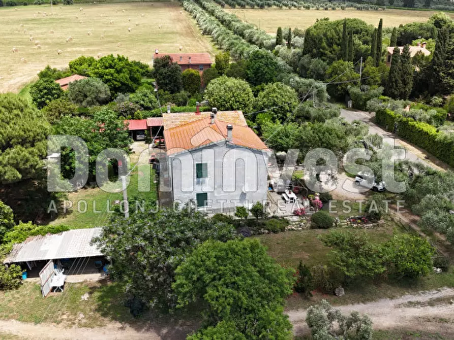 Immagine 11 di Rustico / casale in vendita  in Carige alta a Capalbio
