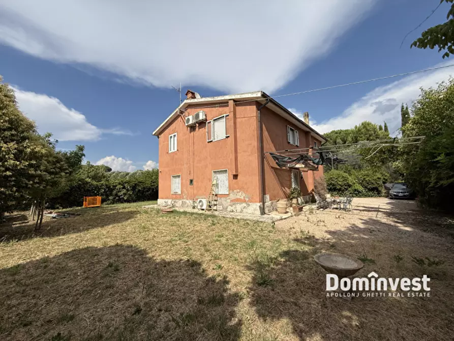 Immagine 17 di Rustico / casale in vendita  in Carige alta a Capalbio