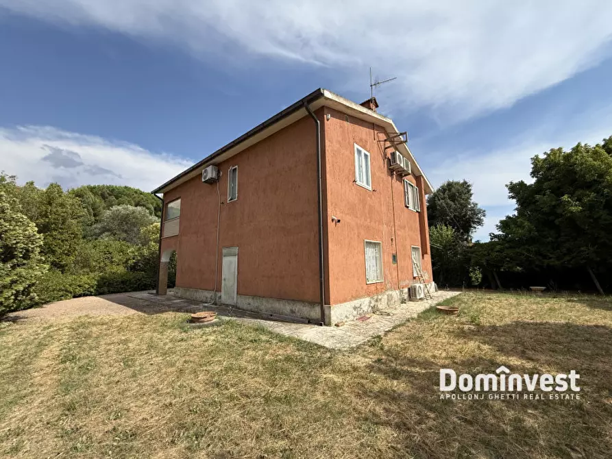 Immagine 18 di Rustico / casale in vendita  in Carige alta a Capalbio