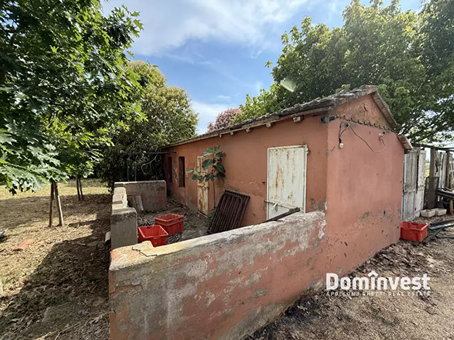 Immagine 19 di Rustico / casale in vendita  in Carige alta a Capalbio