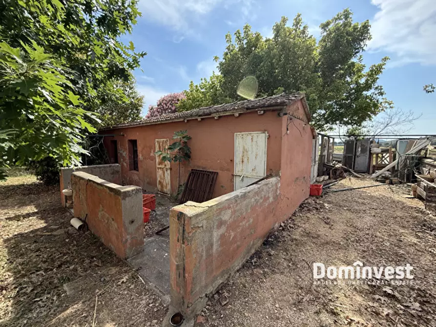 Immagine 20 di Rustico / casale in vendita  in Carige alta a Capalbio