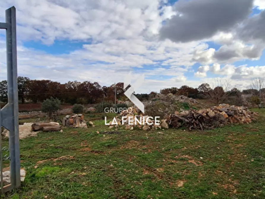 Immagine 10 di Rustico / casale in vendita  in contrada Capitolo a Locorotondo