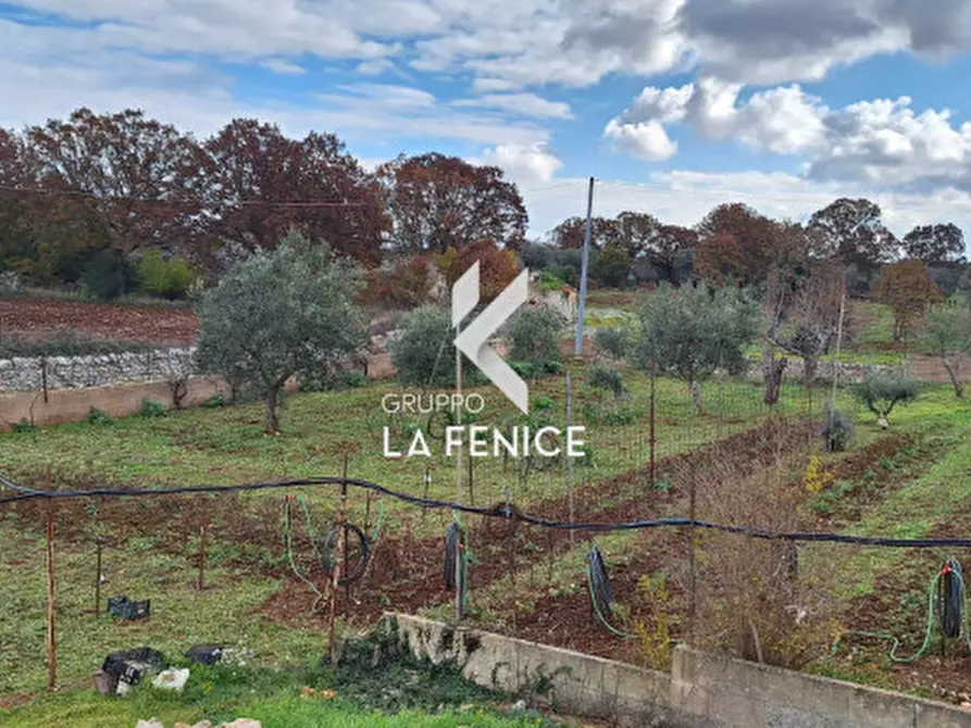 Immagine 12 di Rustico / casale in vendita  in contrada Capitolo a Locorotondo