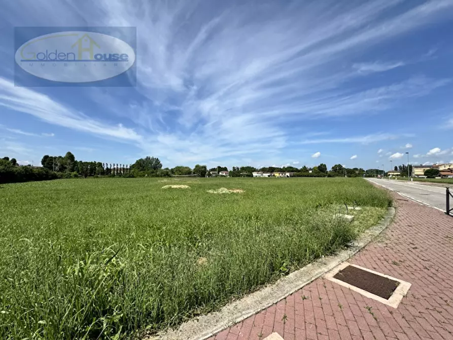 Immagine 14 di Terreno in vendita  in Via Alfiero Taddia a Argenta