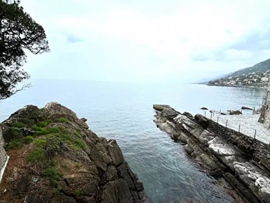 Immagine 8 di Villa in vendita  in Via Romagneno a Recco