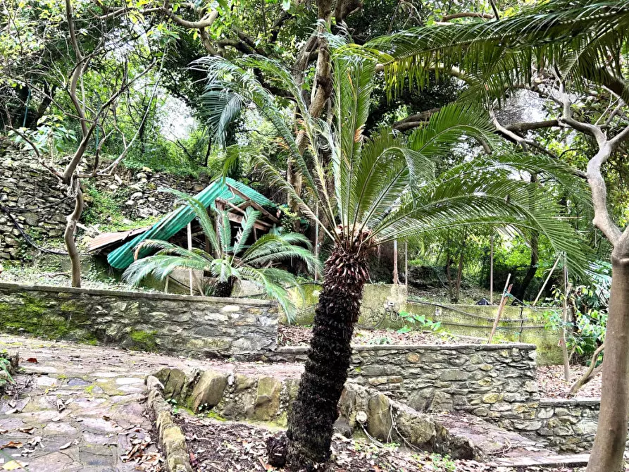 Immagine 10 di Villa in vendita  in Via Romagneno a Recco