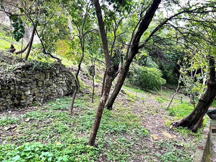 Immagine 11 di Villa in vendita  in Via Romagneno a Recco