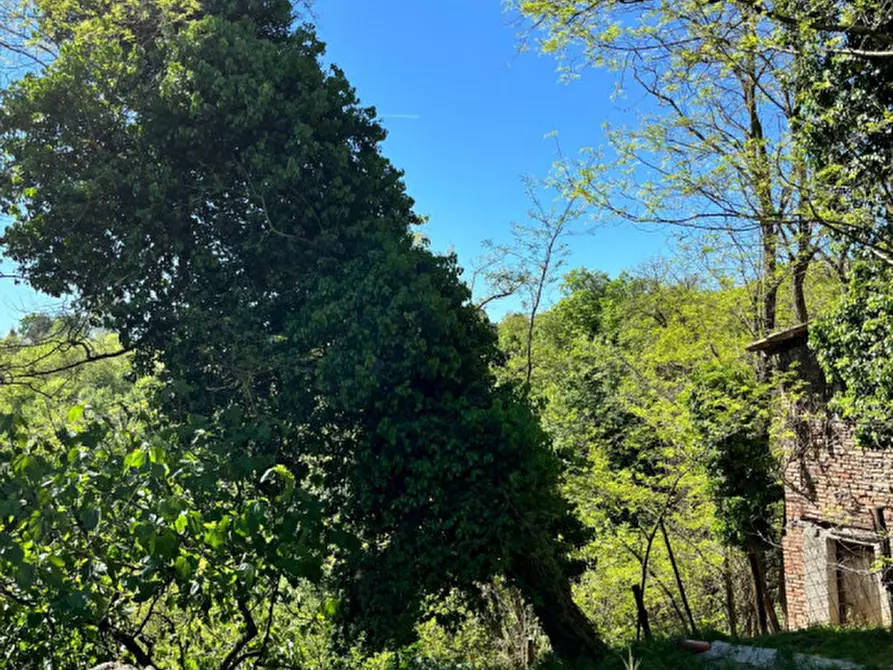 Immagine 6 di Rustico / casale in vendita  in Ghiare di Medesano a Medesano