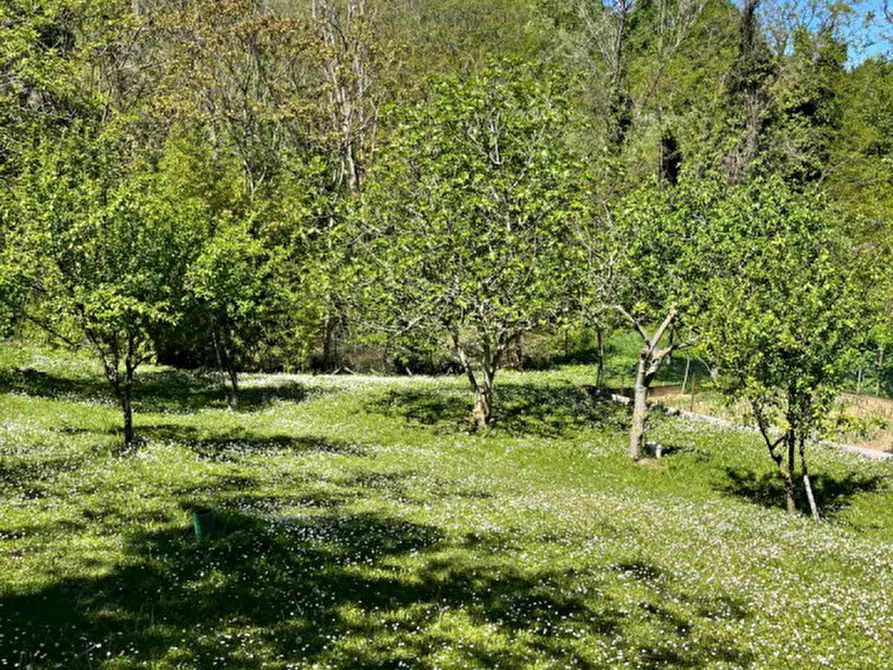 Immagine 21 di Rustico / casale in vendita  in Ghiare di Medesano a Medesano
