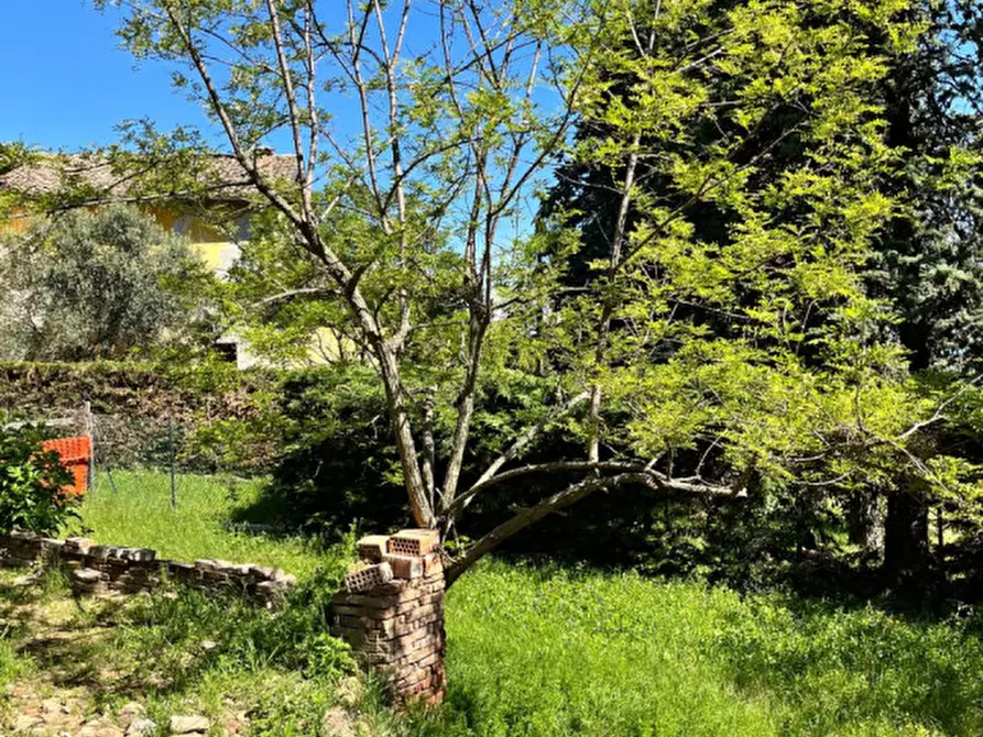 Immagine 23 di Rustico / casale in vendita  in Ghiare di Medesano a Medesano