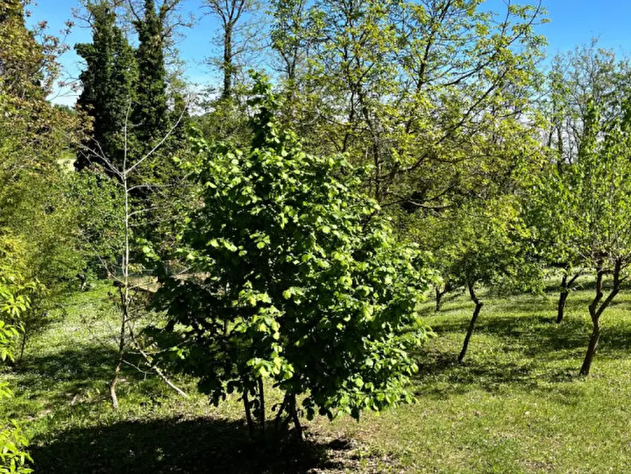 Immagine 26 di Rustico / casale in vendita  in Ghiare di Medesano a Medesano