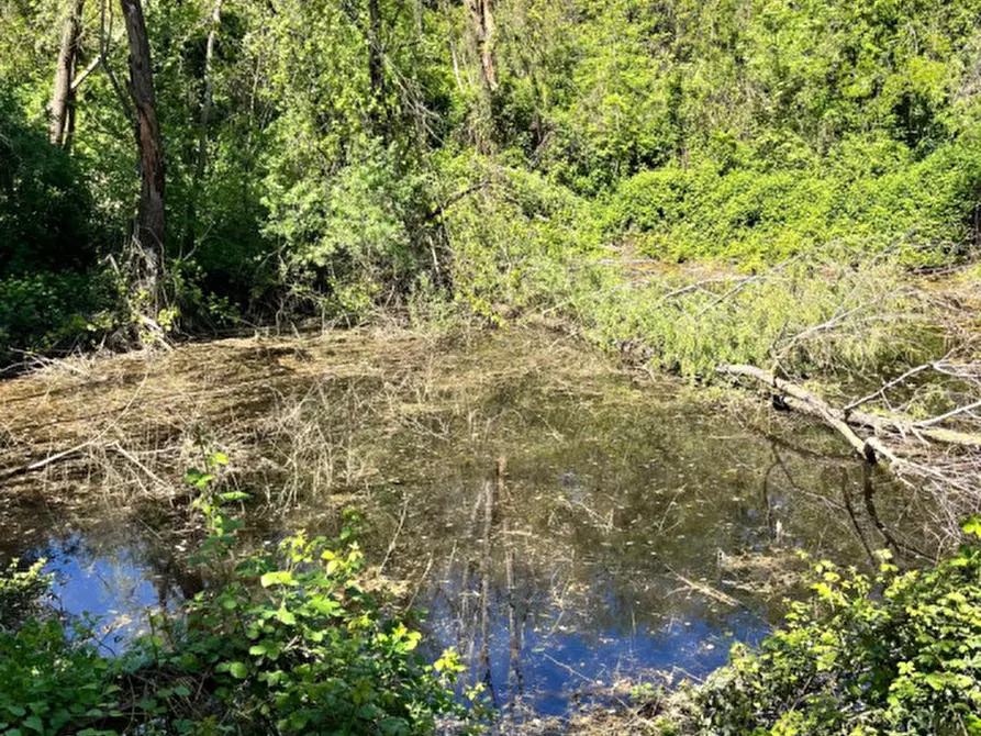 Immagine 27 di Rustico / casale in vendita  in Ghiare di Medesano a Medesano