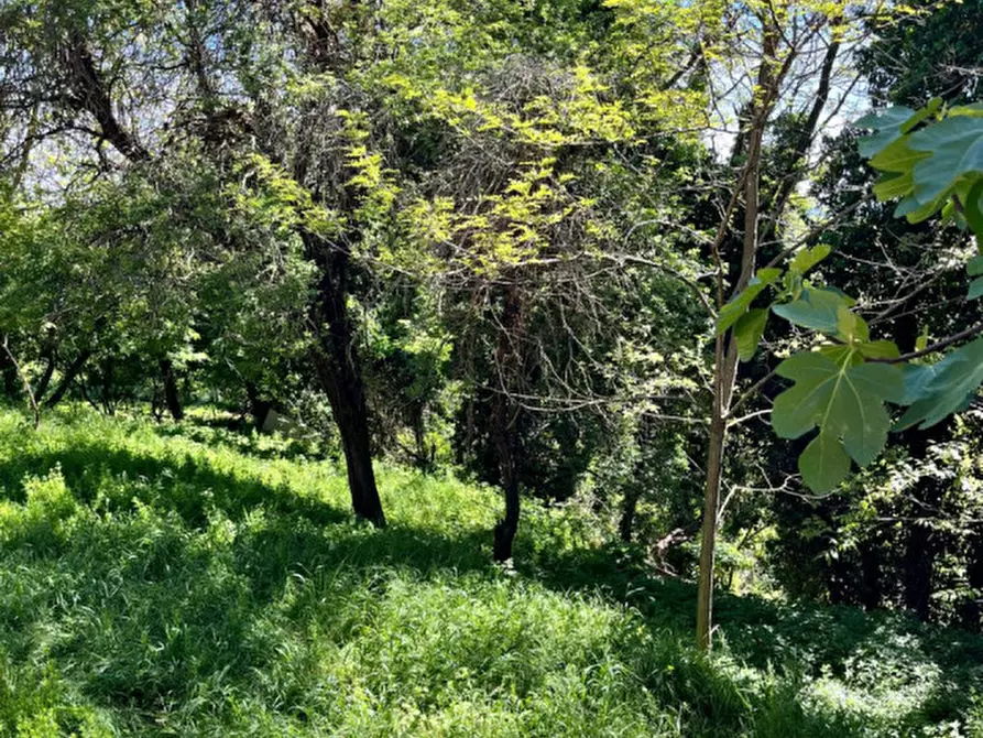 Immagine 28 di Rustico / casale in vendita  in Ghiare di Medesano a Medesano