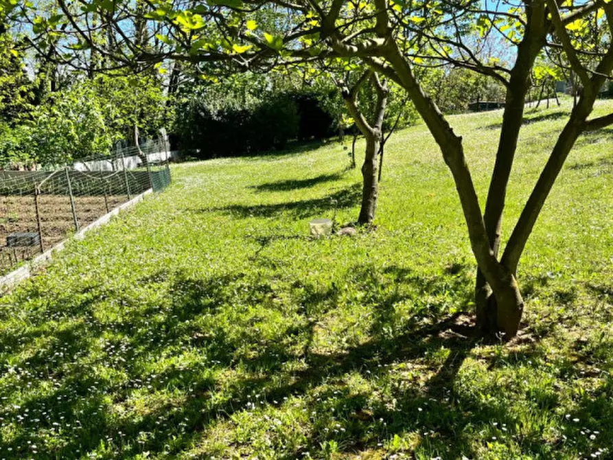 Immagine 37 di Rustico / casale in vendita  in Ghiare di Medesano a Medesano