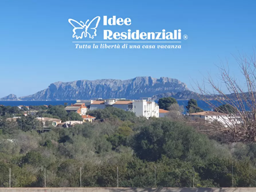 Immagine 21 di Casa indipendente in vendita  in via del giglio 1 a Olbia