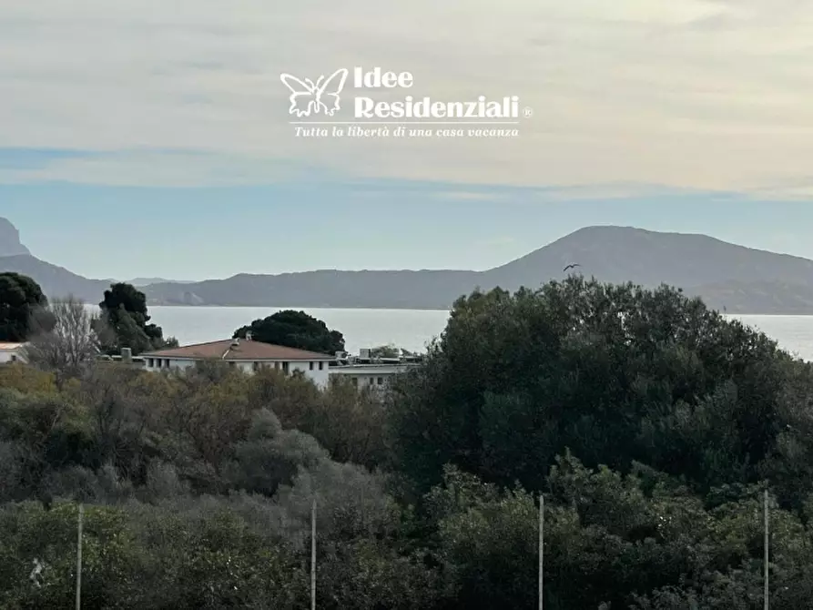 Immagine 23 di Casa indipendente in vendita  in via del giglio 1 a Olbia