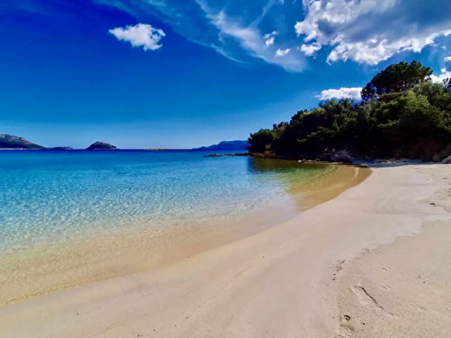 Immagine 23 di Appartamento in vendita  in via del Giglio a Olbia