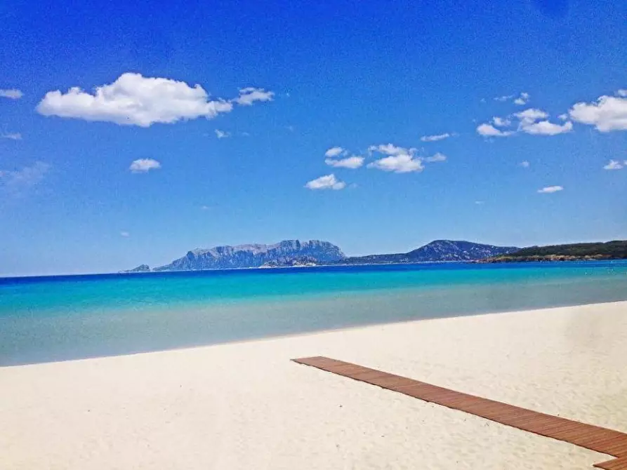 Immagine 25 di Appartamento in vendita  in via del Giglio a Olbia