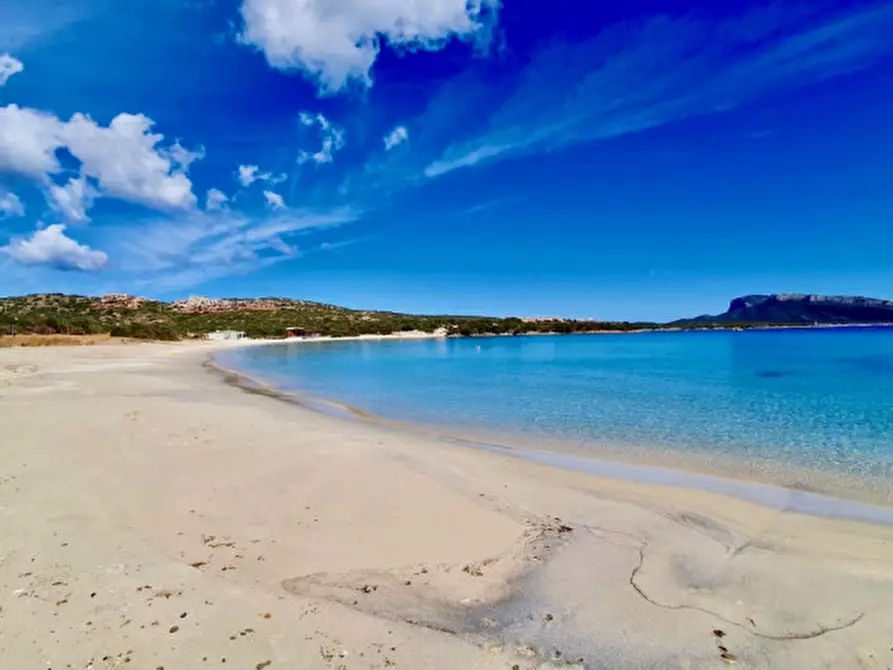 Immagine 26 di Appartamento in vendita  in via del Giglio a Olbia