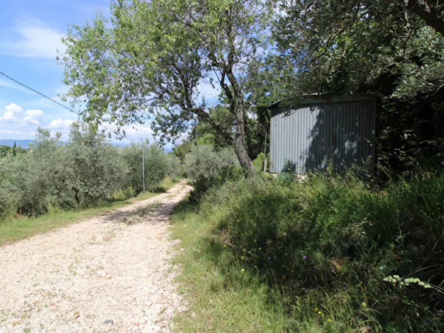 Immagine 2 di Terreno in vendita  in larviano a Terni