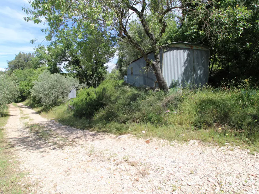 Immagine 3 di Terreno in vendita  in larviano a Terni