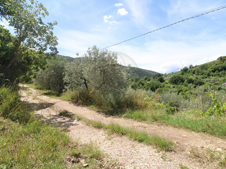 Immagine 4 di Terreno in vendita  in larviano a Terni