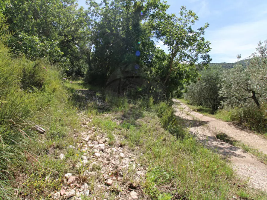 Immagine 5 di Terreno in vendita  in larviano a Terni