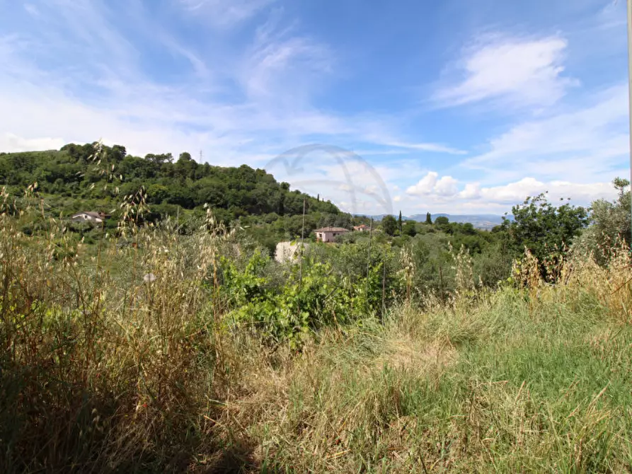 Immagine 6 di Terreno in vendita  in larviano a Terni
