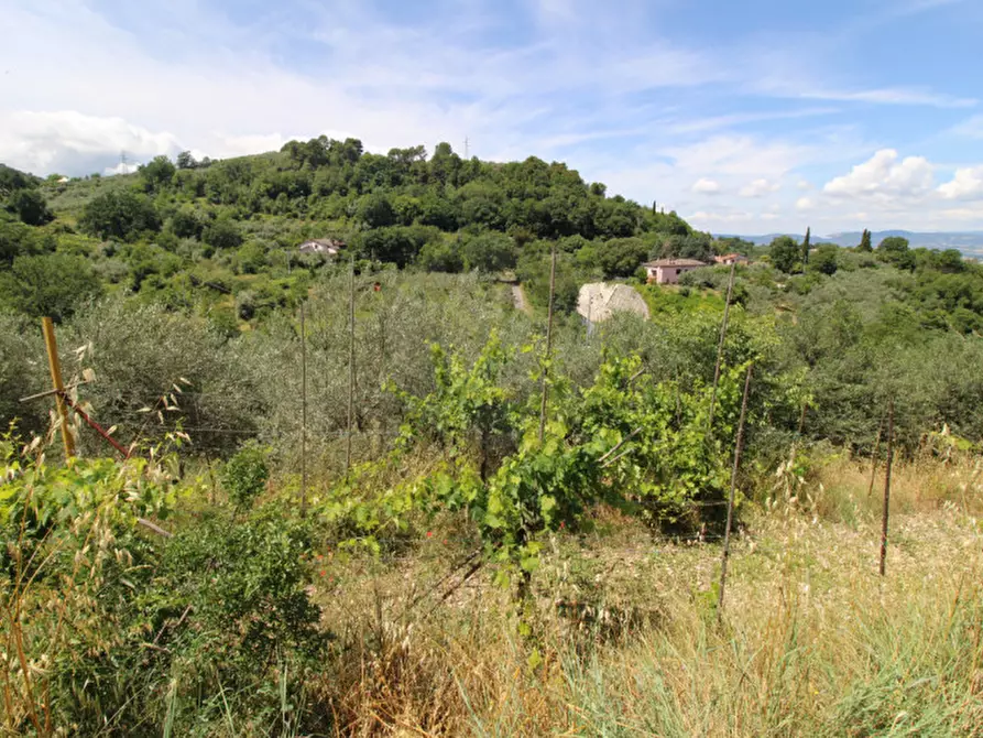 Immagine 7 di Terreno in vendita  in larviano a Terni