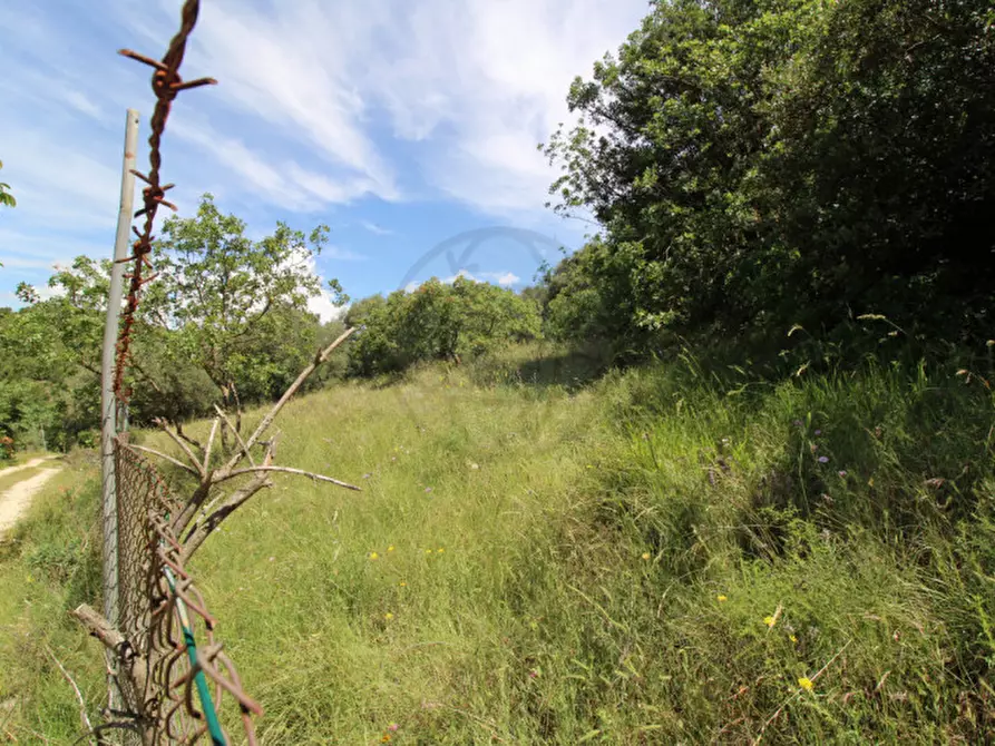 Immagine 9 di Terreno in vendita  in larviano a Terni