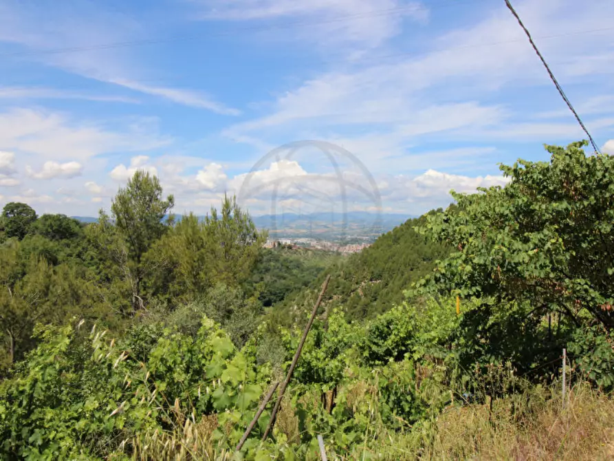 Immagine 10 di Terreno in vendita  in larviano a Terni